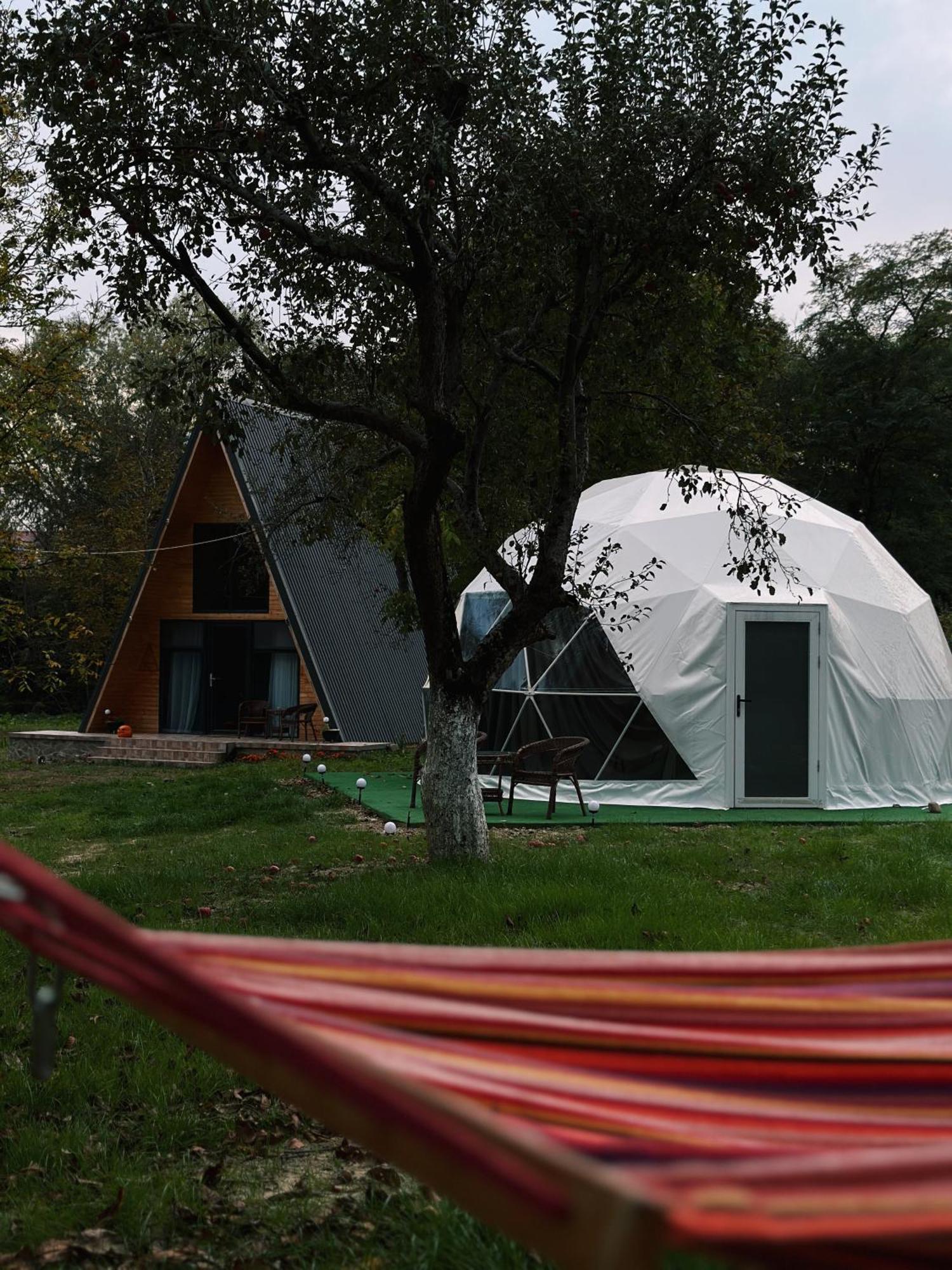 The Frog Glamping Hotel Horezu Exterior foto