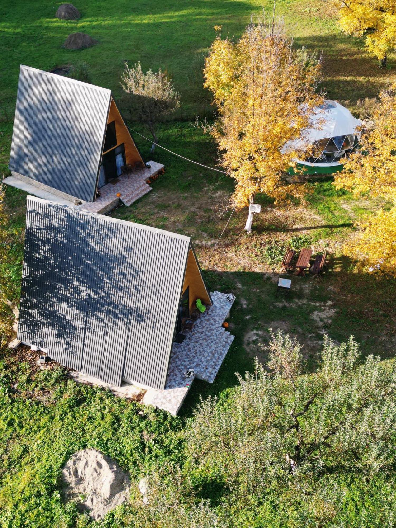 The Frog Glamping Hotel Horezu Exterior foto