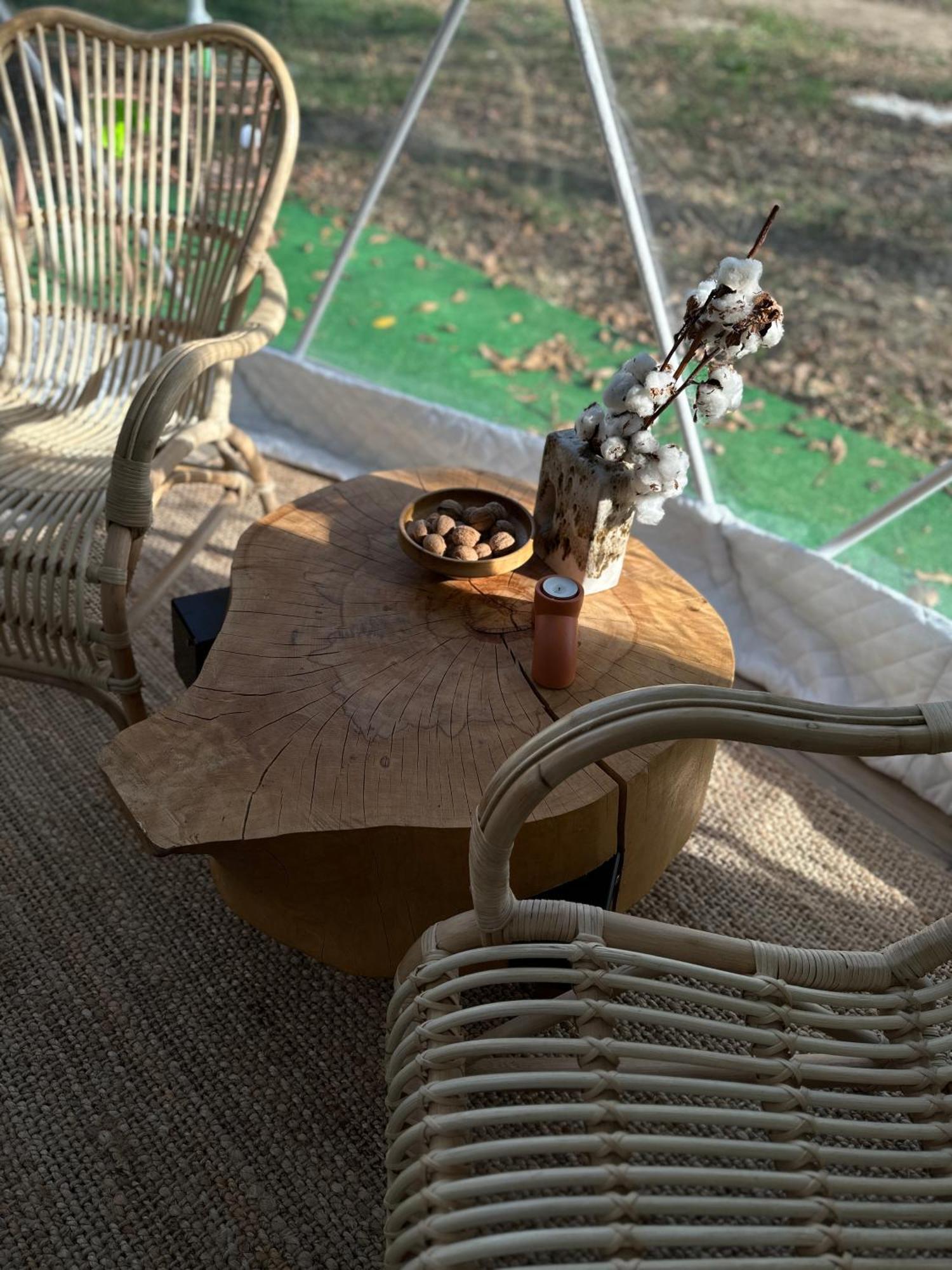 The Frog Glamping Hotel Horezu Exterior foto
