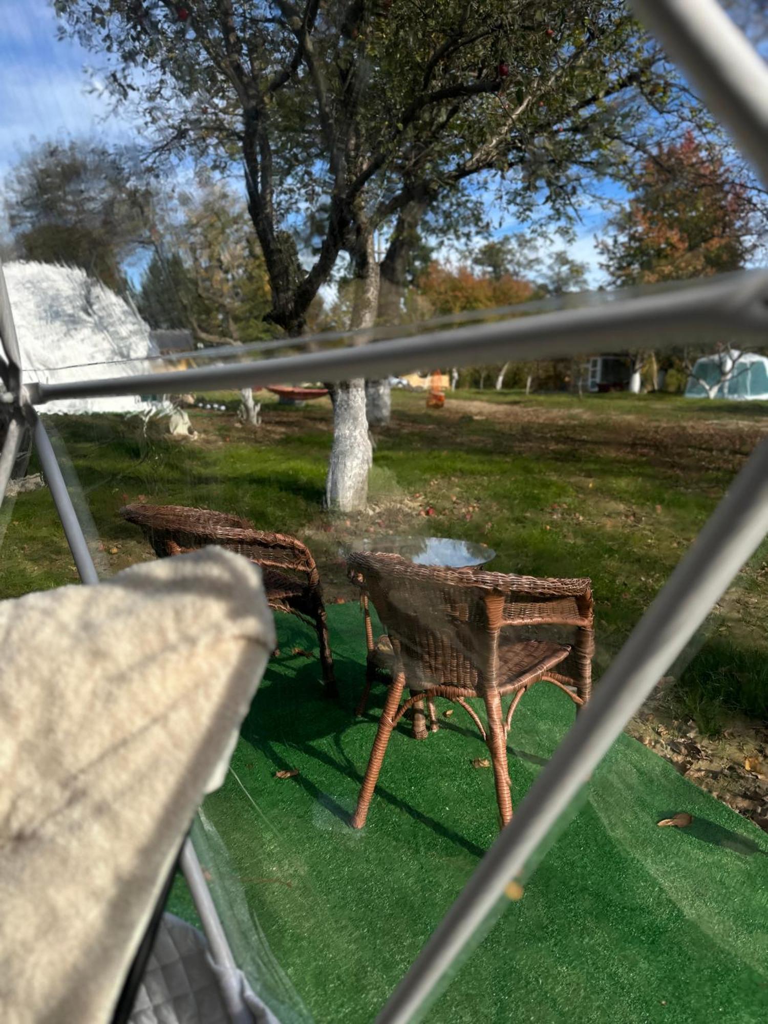 The Frog Glamping Hotel Horezu Exterior foto