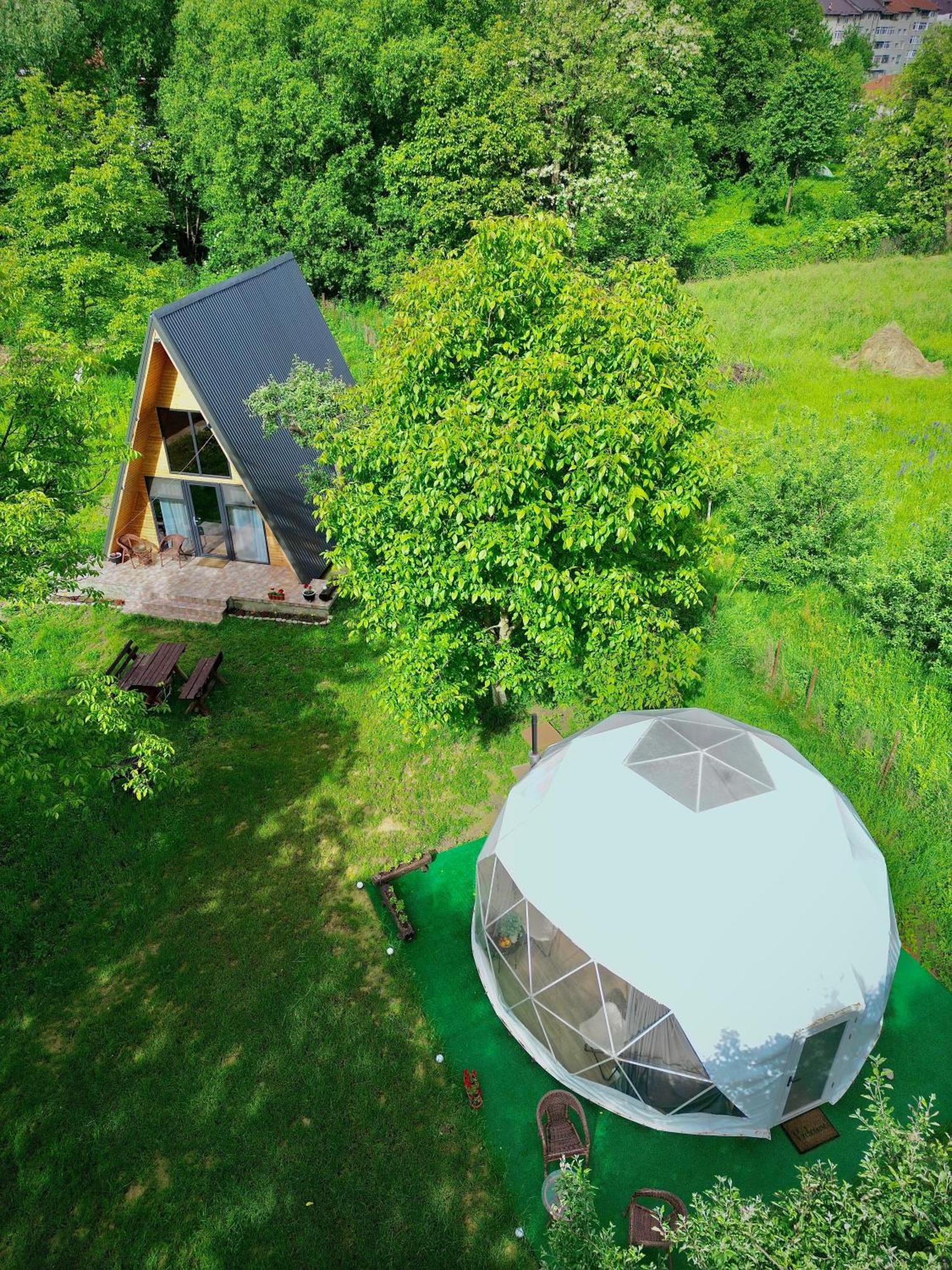 The Frog Glamping Hotel Horezu Exterior foto