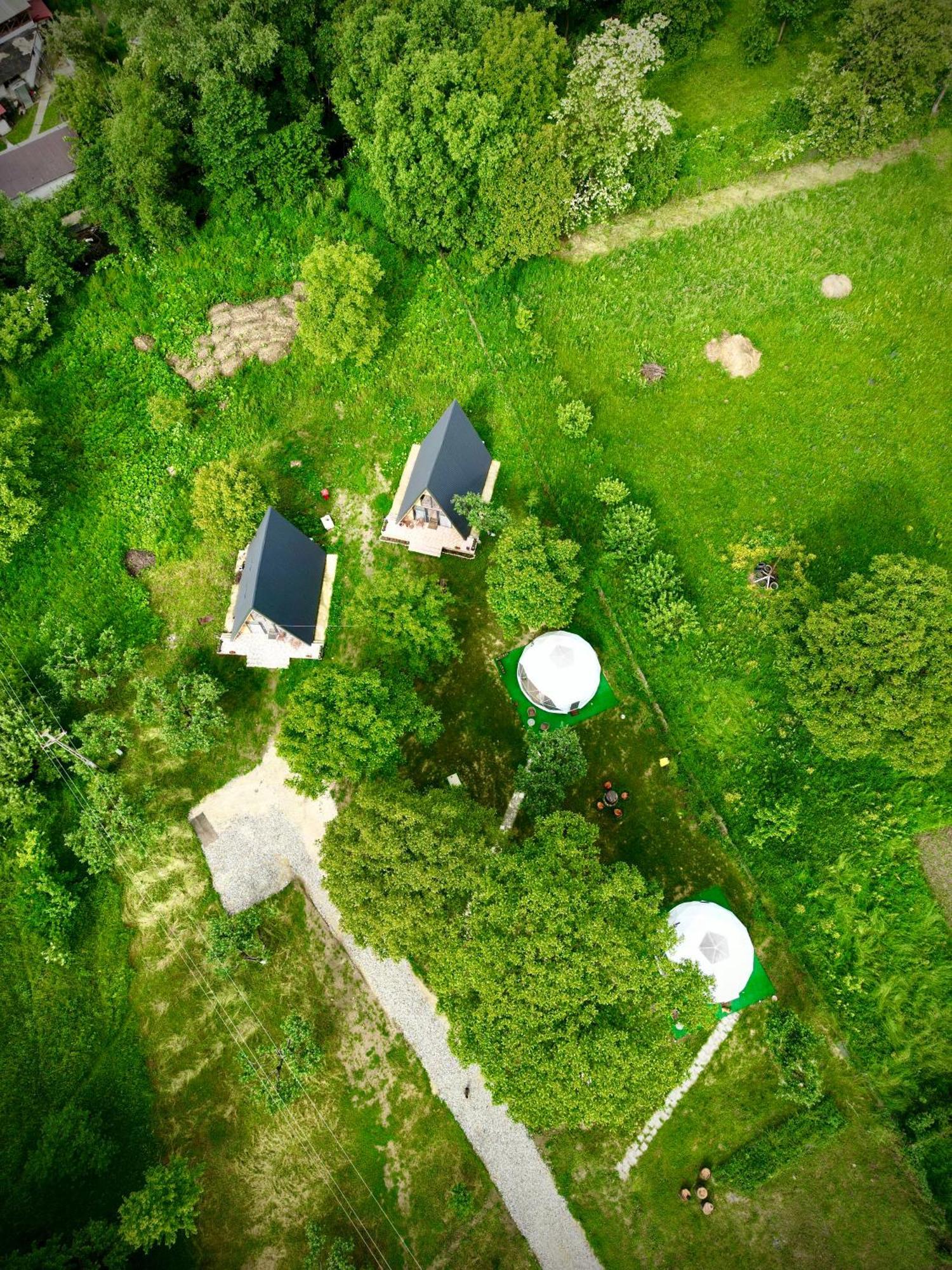 The Frog Glamping Hotel Horezu Exterior foto