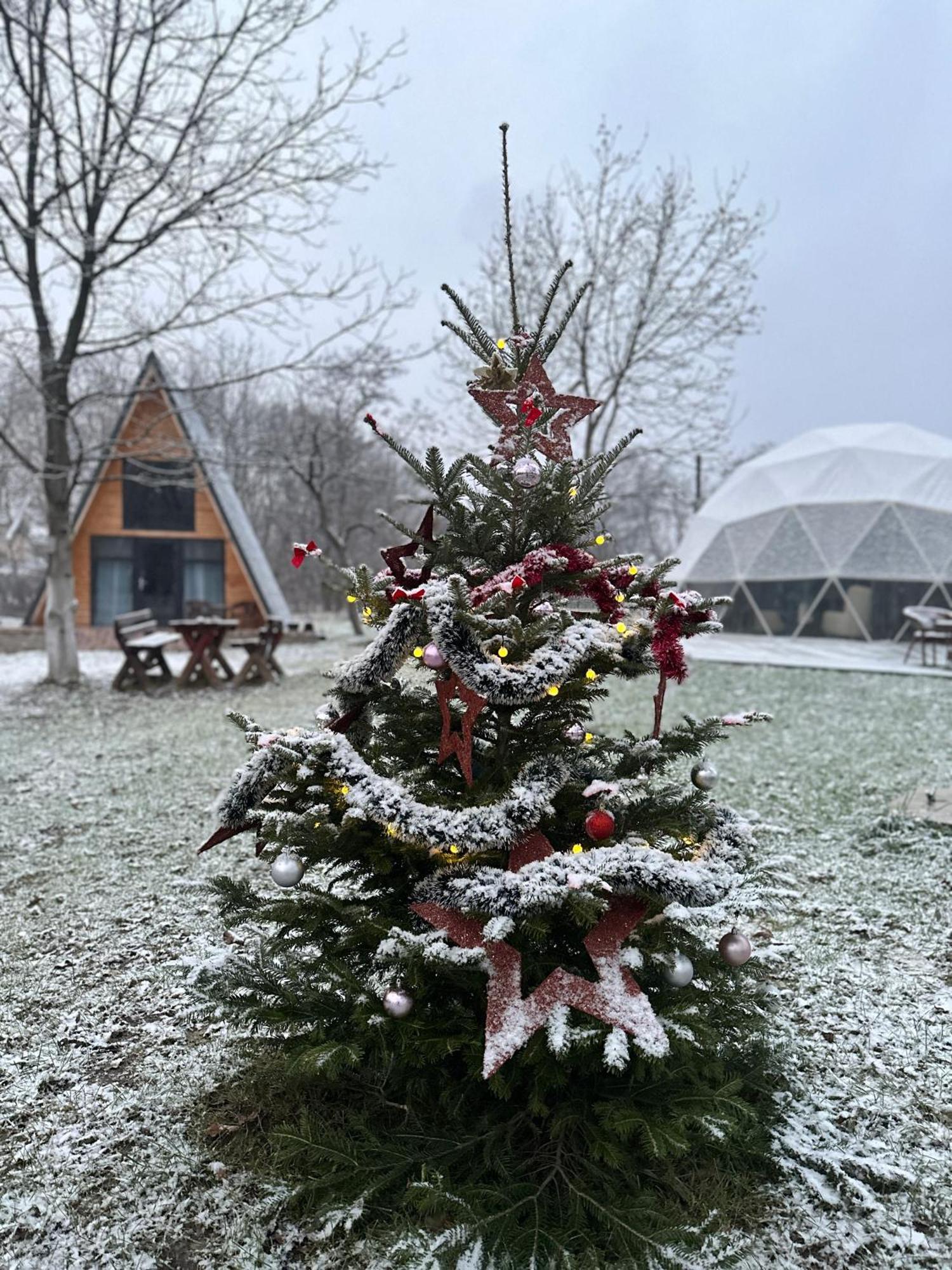 The Frog Glamping Hotel Horezu Exterior foto