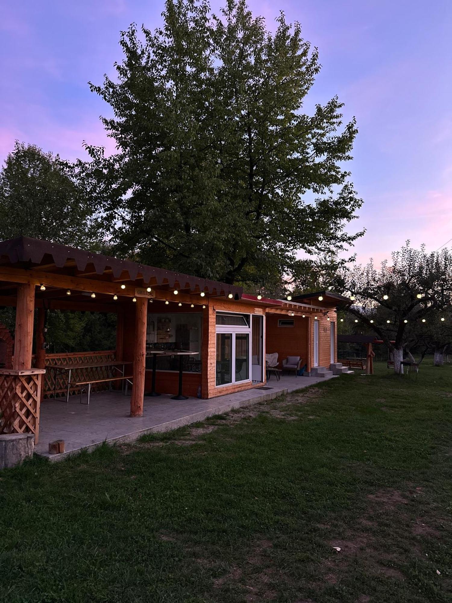 The Frog Glamping Hotel Horezu Exterior foto