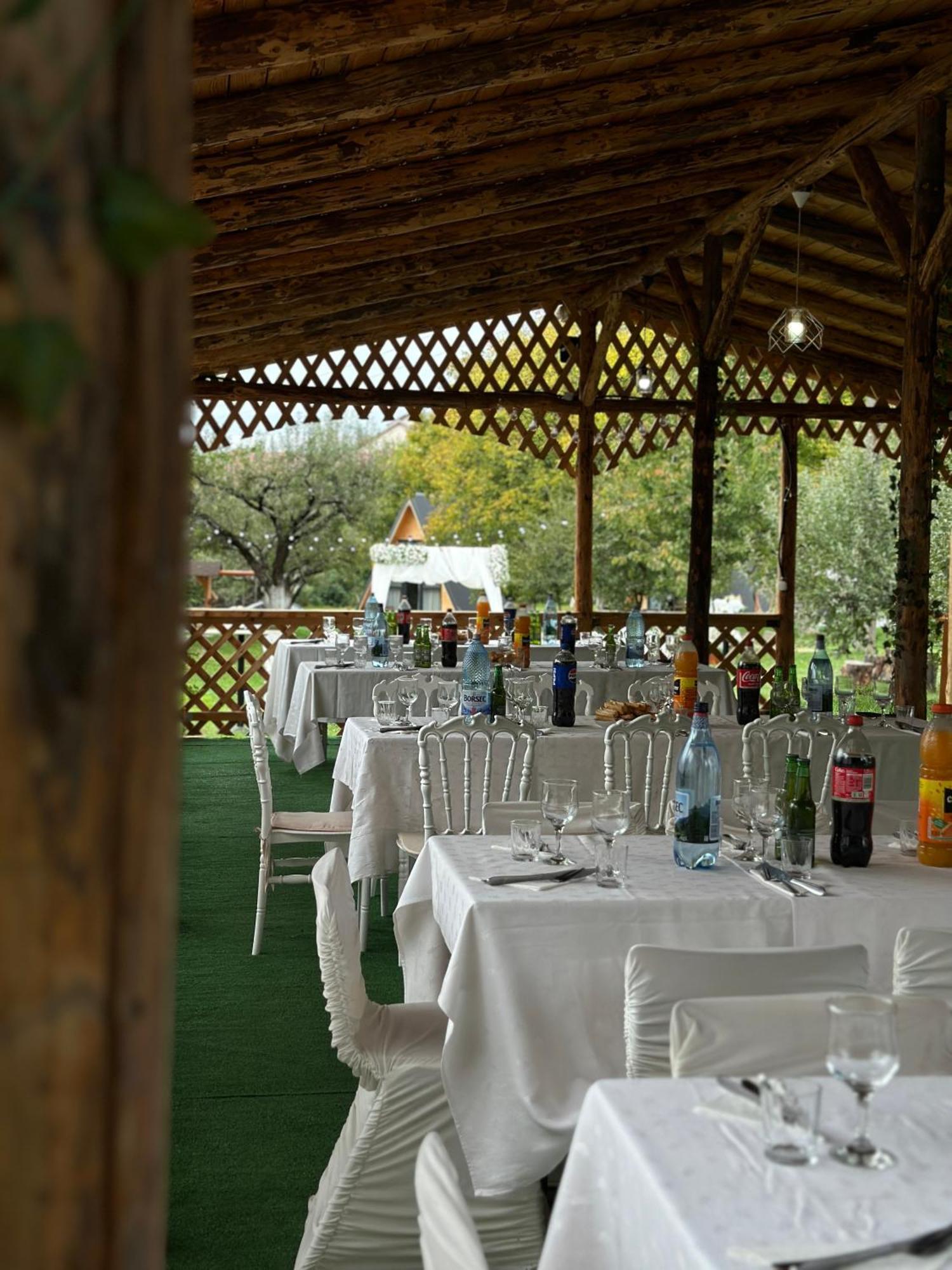 The Frog Glamping Hotel Horezu Exterior foto